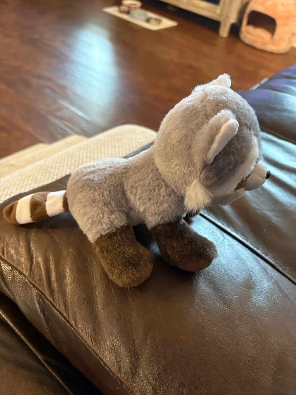 Plush Raccoon Stuffed Animal with Sparkly Brown Eyes beanie boo